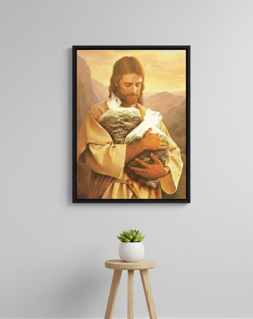 PLUG — SOME® (2019)